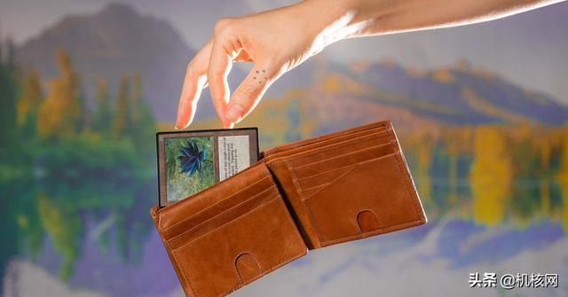 十张小纸片儿，和万智牌相伴的这20年