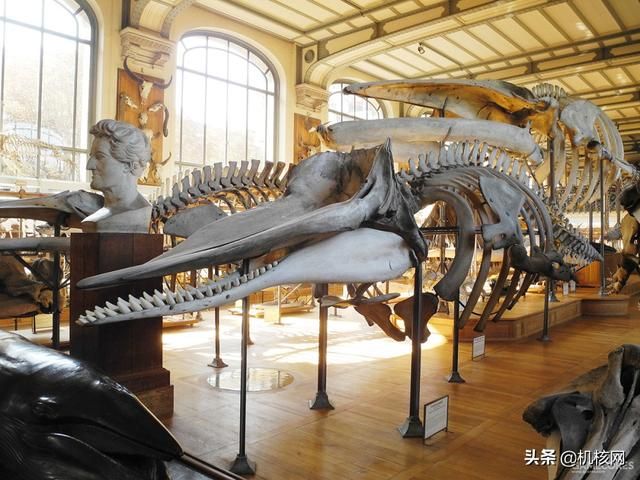 原创3D科幻角色设计:“海象”舱外宇航服