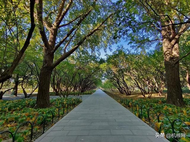 双芯闪充屏幕好，周边齐全任你挑，iQOO Neo 7 开箱体验