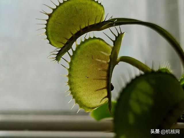 双芯闪充屏幕好，周边齐全任你挑，iQOO Neo 7 开箱体验