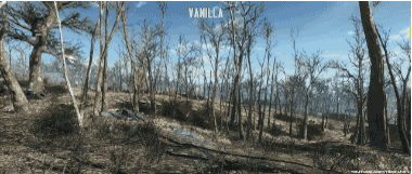 四季变换的《辐射4》世界真是太美了