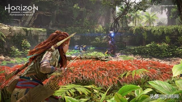 在提前试玩了《地平线:西之绝境》后,我悬着的心总算是放了下来