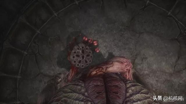 在血肉的熔炉中孑孓而行：小评《蔑视》