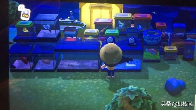 在这里,我收集了点《集合啦!动物森友会》的图给你看