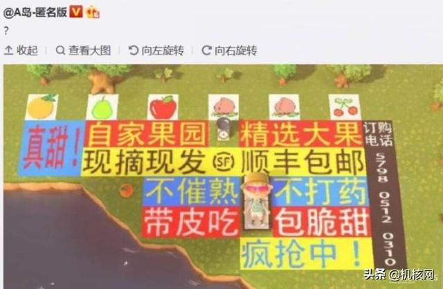 在这里,我收集了点《集合啦!动物森友会》的图给你看