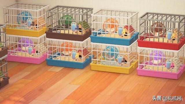 在这里,我收集了点《集合啦!动物森友会》的图给你看