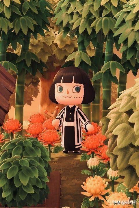 在这里,我收集了点《集合啦!动物森友会》的图给你看