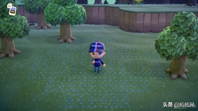 在这里,我收集了点《集合啦!动物森友会》的图给你看