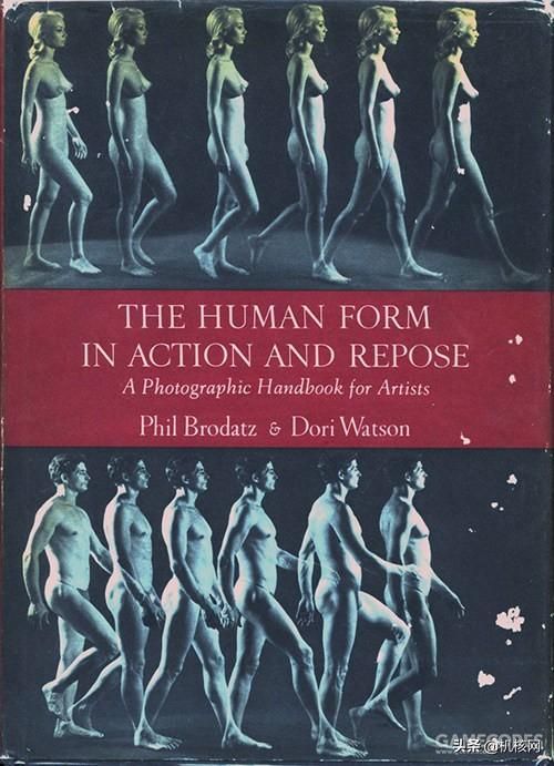 墨比斯创作的秘密——摄影图片的系统性使用