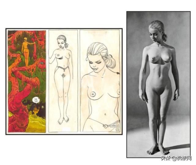 墨比斯创作的秘密——摄影图片的系统性使用