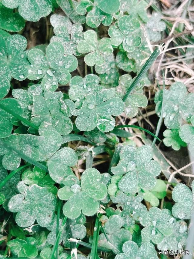 大屏、性能强、长续航，iPhone 14 Plus 会打动你吗？