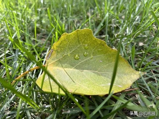 大屏、性能强、长续航，iPhone 14 Plus 会打动你吗？