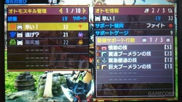 如何在《MHX》培养一只猫