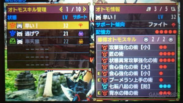 如何在《MHX》培养一只猫