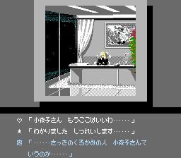存在于FC、SFC、PCE上的性感画面