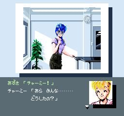 存在于FC、SFC、PCE上的性感画面