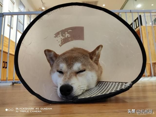 小升级大联名,黑鲨4S 高达SEED联名款开箱及体验分享