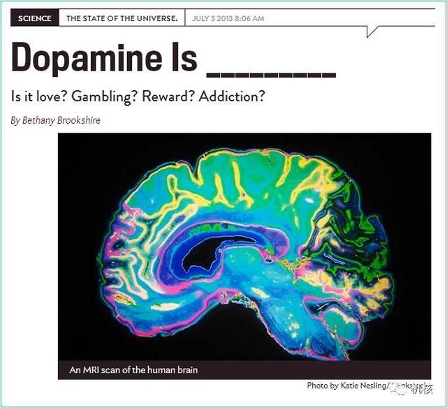 当你为SSR课得死去活来的时候，问你自己一个问题
