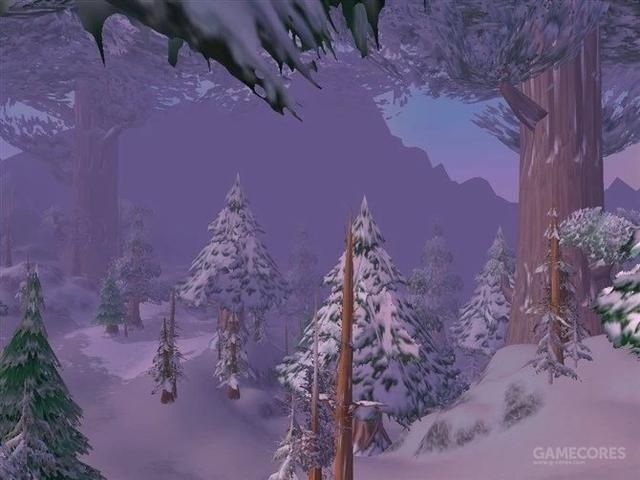 我所关于魔兽世界的全部