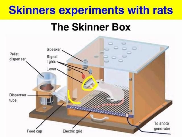 我是如何放弃欣赏并爱上宝箱的