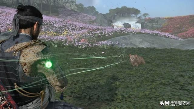 战鬼再临壹岐岛,杀寇射灯还撸猫:小评《对马岛之魂 导演剪辑版》