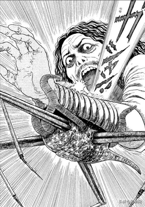 来自伊藤润二的有关鱼的噩梦