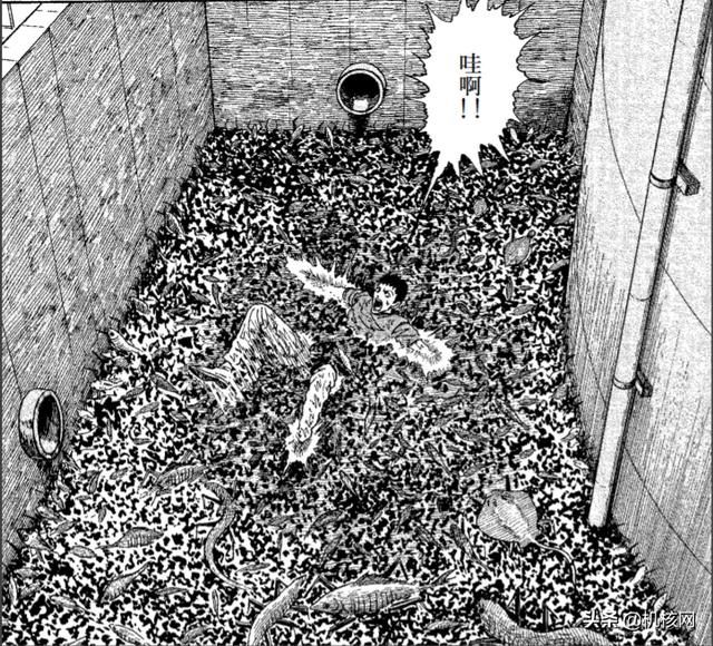 来自伊藤润二的有关鱼的噩梦