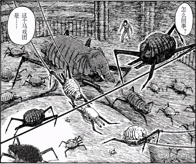 来自伊藤润二的有关鱼的噩梦