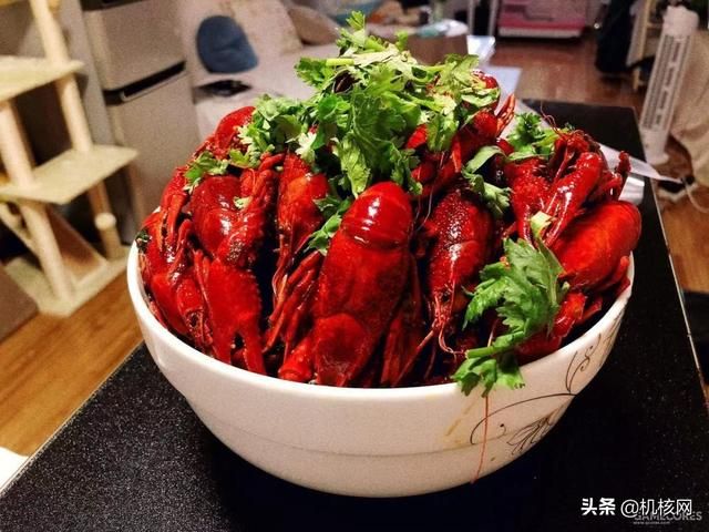 核推SP05:我为什么推荐所有人都学会做菜?