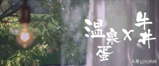 核推SP05:我为什么推荐所有人都学会做菜?