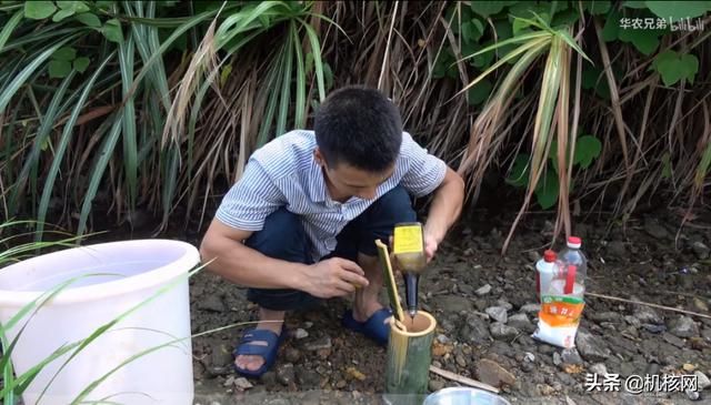 核推SP05:我为什么推荐所有人都学会做菜?