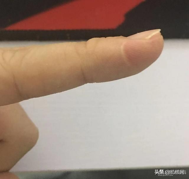 核推SP05:我为什么推荐所有人都学会做菜?