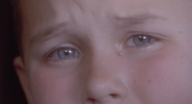 电影《十二只猴子》浅析