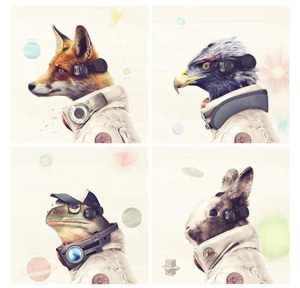 真“人”版星际火狐cosplay