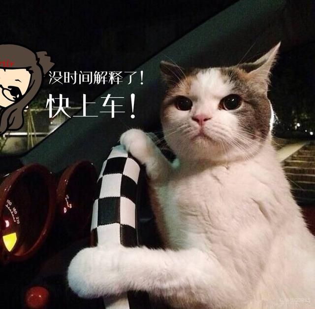 神室町购物指南暨景点地图(2005版)（一）