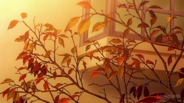 突破新海诚的原作的《她与她的猫》