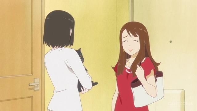 突破新海诚的原作的《她与她的猫》