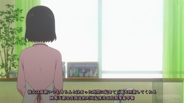 突破新海诚的原作的《她与她的猫》