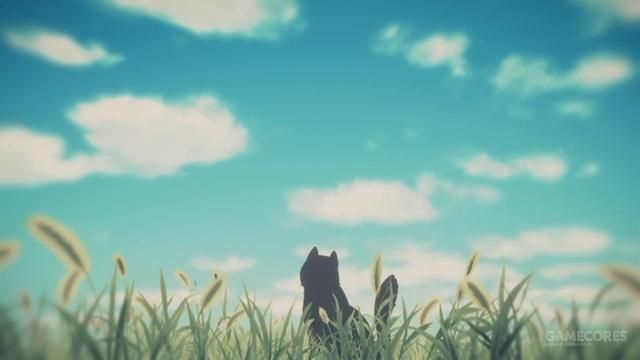 突破新海诚的原作的《她与她的猫》