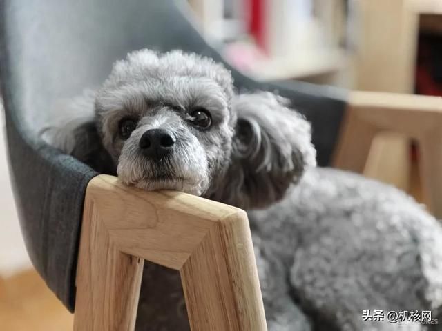 系统顺滑震感棒，三摄齐全定价香，一加11体验报告