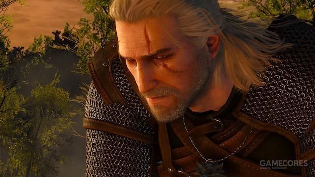 给没玩巫师的朋友讲一个猎魔人的故事