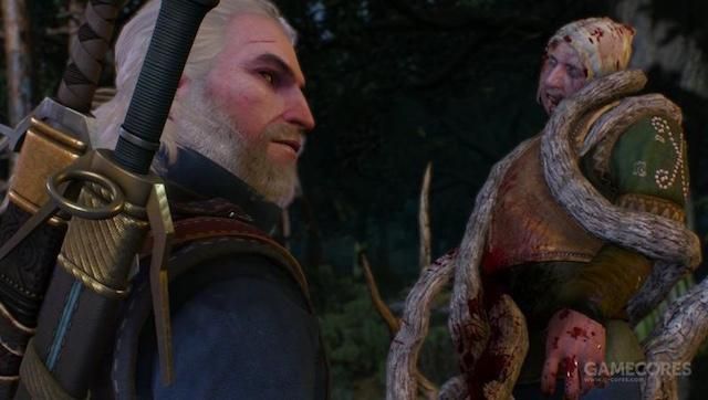 给没玩巫师的朋友讲一个猎魔人的故事