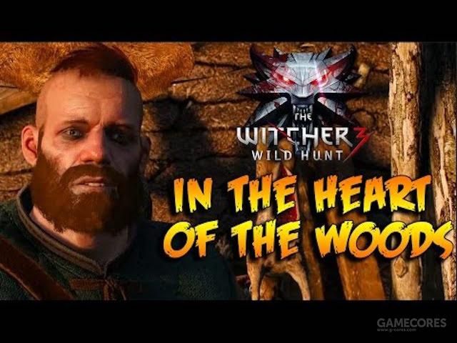 给没玩巫师的朋友讲一个猎魔人的故事