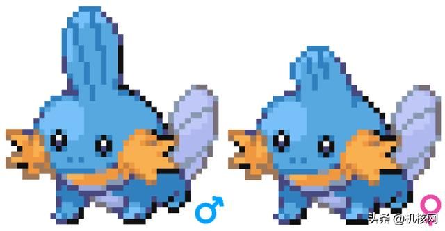 见过独角的喷火龙吗？聊聊近两年的宝可梦内容泄露