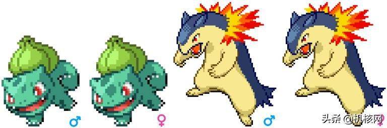 见过独角的喷火龙吗?聊聊近两年的宝可梦内容泄露