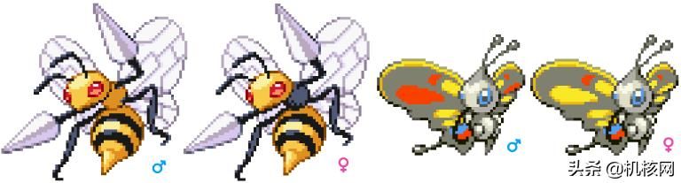 见过独角的喷火龙吗?聊聊近两年的宝可梦内容泄露