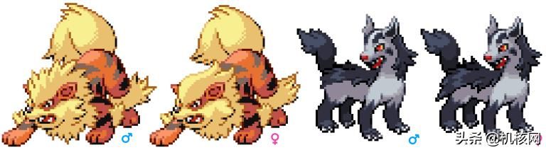 见过独角的喷火龙吗?聊聊近两年的宝可梦内容泄露