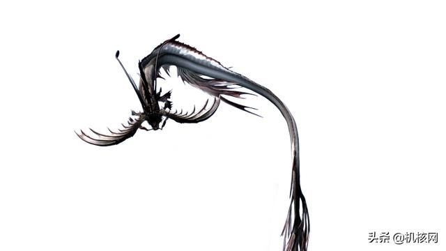 这些《FF14》艾欧泽亚的秘密,你都知道吗?