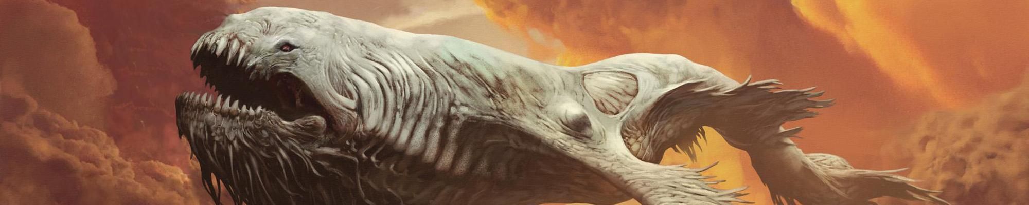 黄金周看点什么